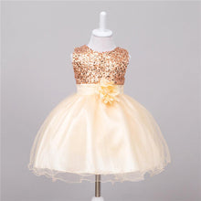 Load image into Gallery viewer, Baby Sequin Dress Flower Girl Wedding Princess Dress - Curtis &amp; Ivory
