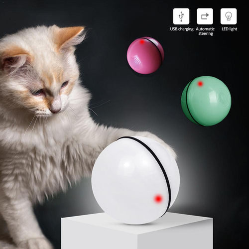 LED Laser Electronic Rolling Pet Funny Cat Toy Ball - Curtis & Ivory