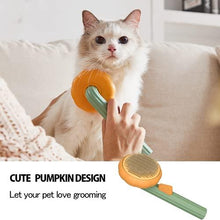 Load image into Gallery viewer, Pet Pumpkin Brush, Pet Grooming Brush - Curtis &amp; Ivory
