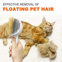 Load image into Gallery viewer, Pet Pumpkin Brush,Cat Brushes for Indoor Cat,Cat Hair Brush for Shedding - Curtis &amp; Ivory
