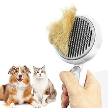 Charger l&#39;image dans la galerie, Pet Pumpkin Brush,Cat Brushes for Indoor Cat,Cat Hair Brush for Shedding - Curtis &amp; Ivory
