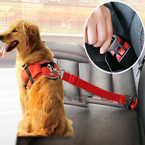 Traction Rope For Pet Car Seat Belt - Curtis & Ivory